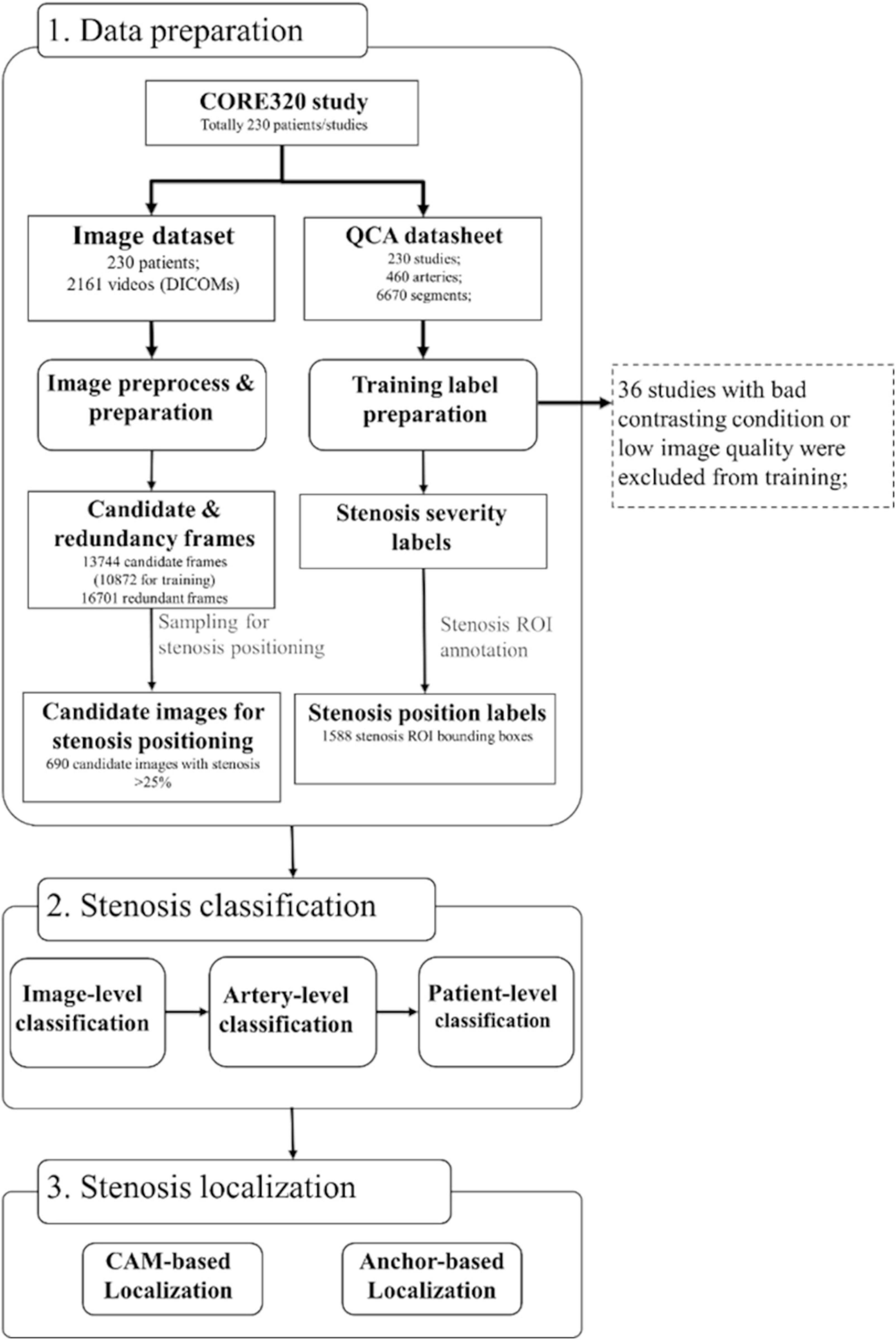 Deep learning-based end-to-end automated stenosis classification and localization on catheter coronary angiography